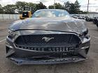 2020 Ford Mustang Gt Gray vin: 1FA6P8CF0L5124030