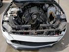 2020 Ford Mustang Gt White vin: 1FA6P8CF0L5124318