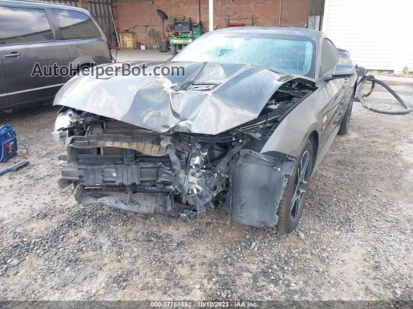 2020 Ford Mustang Gt  Gray vin: 1FA6P8CF4L5130297