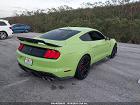 2020 Ford Mustang Shelby Gt500 Fastback Green vin: 1FA6P8SJ8L5503959