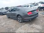 2020 Ford Mustang Ecoboost Fastback Gray vin: 1FA6P8TH0L5154405