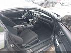 2020 Ford Mustang Ecoboost Fastback Gray vin: 1FA6P8TH0L5154405