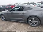 2020 Ford Mustang Ecoboost Fastback Gray vin: 1FA6P8TH0L5154405