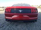 2020 Ford Mustang  Red vin: 1FA6P8TH1L5129237