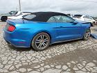 2020 Ford Mustang  Blue vin: 1FATP8UHXL5101521