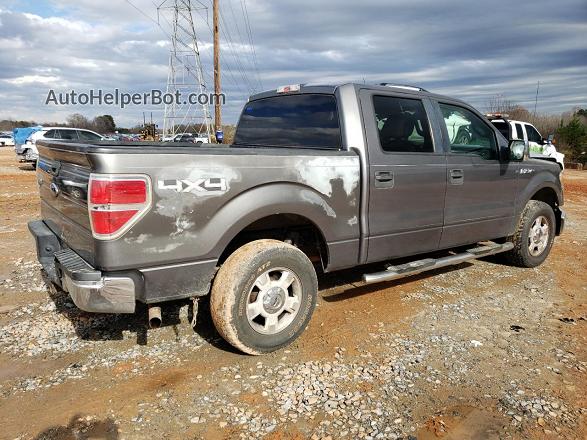 2009 Ford F150 Supercrew Серый vin: 1FTPW14V09FB18827