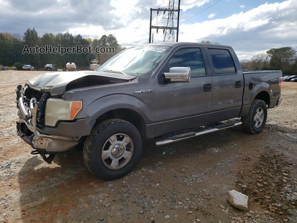 2009 Ford F150 Supercrew Серый vin: 1FTPW14V09FB18827
