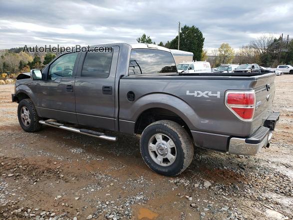 2009 Ford F150 Supercrew Серый vin: 1FTPW14V09FB18827