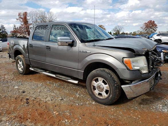 2009 Ford F150 Supercrew Серый vin: 1FTPW14V09FB18827