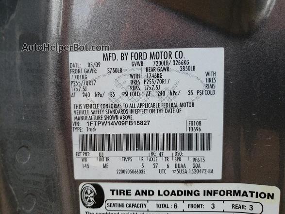 2009 Ford F150 Supercrew Серый vin: 1FTPW14V09FB18827
