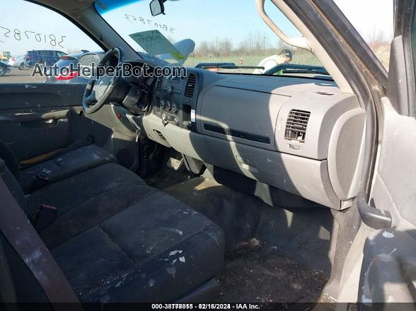 2012 Chevrolet Silverado 1500 Work Truck Gray vin: 1GCNCPEX5CZ169524