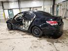 2010 Honda Accord Lx Черный vin: 1HGCP2F37AA071067