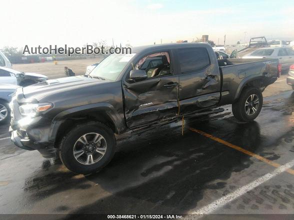 2017 Toyota Tacoma Trd Sport Gray vin: 3TMBZ5DN8HM012035
