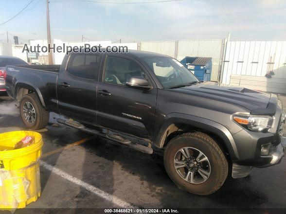 2017 Toyota Tacoma Trd Sport Gray vin: 3TMBZ5DN8HM012035