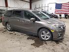 2020 Honda Odyssey Exl Gray vin: 5FNRL6H73LB059469