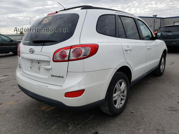 2010 Hyundai Santa Fe Gls Белый vin: 5NMSG3AB2AH406773