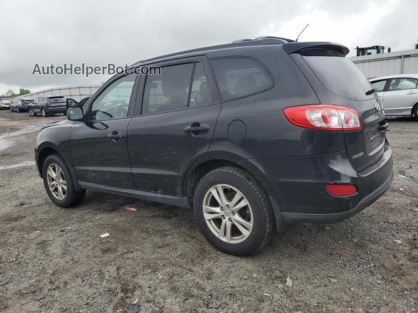 2010 Hyundai Santa Fe Se Black vin: 5NMSH4AG6AH371136