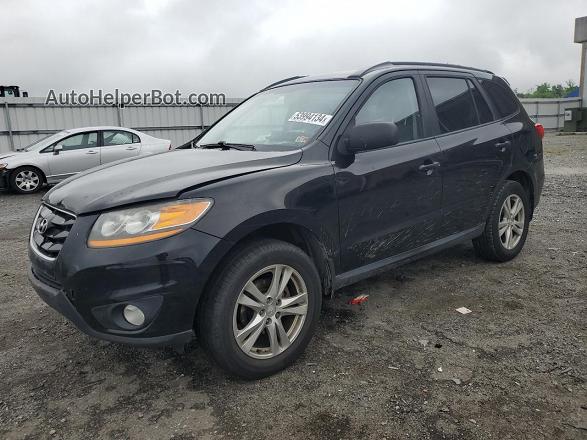 2010 Hyundai Santa Fe Se Black vin: 5NMSH4AG6AH371136