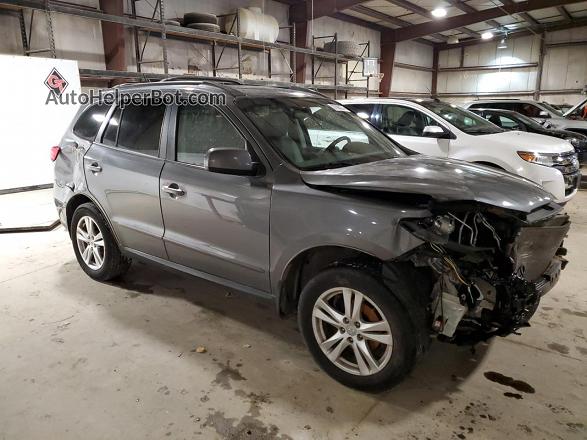 2010 Hyundai Santa Fe Se Gray vin: 5NMSH4AGXAH395827