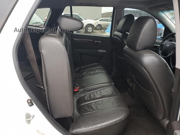 2010 Hyundai Santa Fe Limited Белый vin: 5NMSK4AG4AH359603