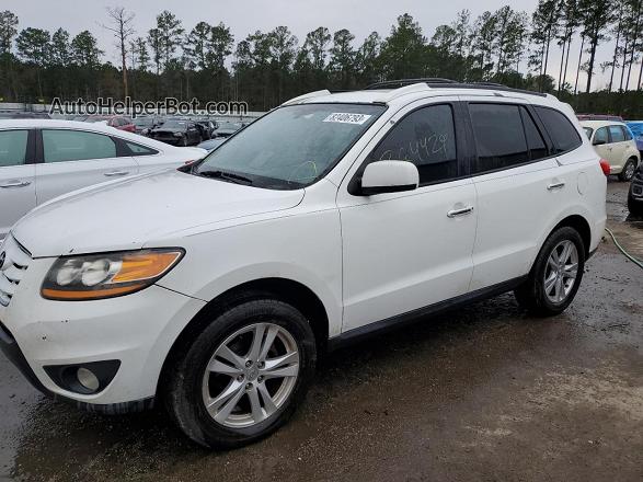 2010 Hyundai Santa Fe Limited Белый vin: 5NMSK4AG4AH359603