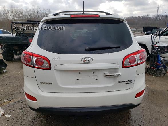 2010 Hyundai Santa Fe Limited White vin: 5NMSK4AG6AH383451