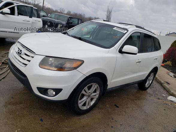 2010 Hyundai Santa Fe Limited White vin: 5NMSK4AG6AH383451