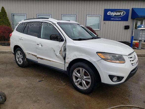 2010 Hyundai Santa Fe Limited White vin: 5NMSK4AG6AH383451