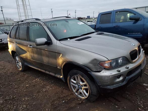 2004 Bmw X5 3.0i Gray vin: 5UXFA13504LU21014